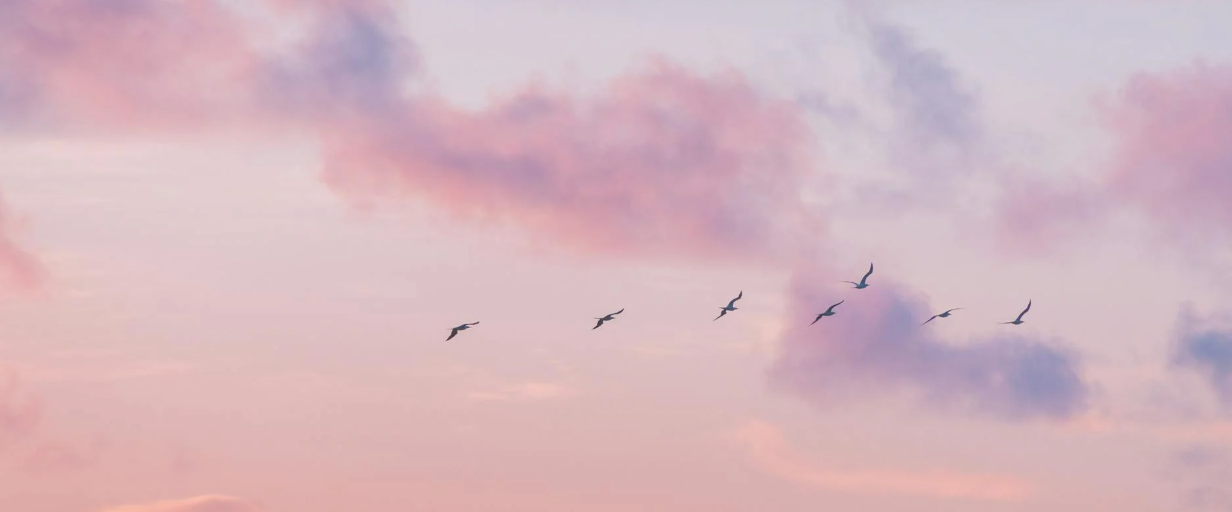 Homeschoolers bring unique strengths to Their college applications