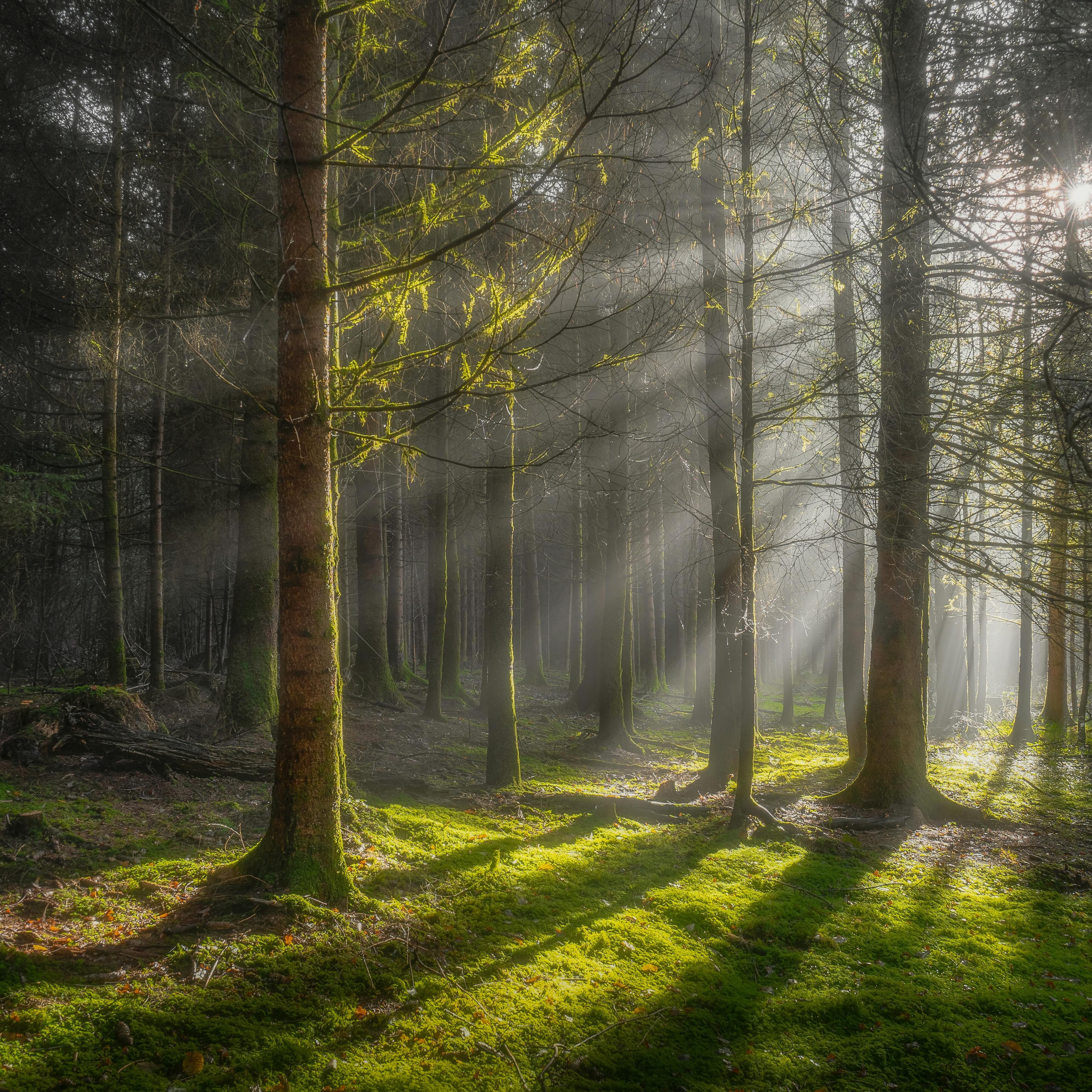 What Your Teen Actually Wants You to Know About Their College Essay (But Don’t Know How to Say)